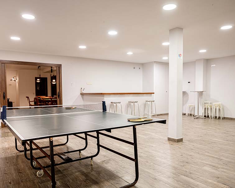 Zonas comunes: ping pong y sala de reuniones