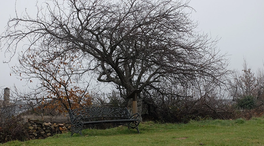 Paisaje de Guadalajar en otoño