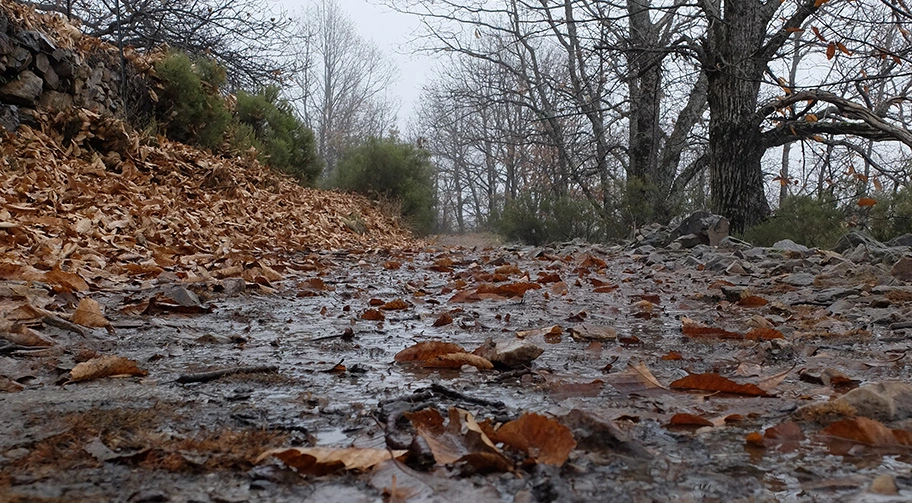 Ruta en otoño en Guadalajara